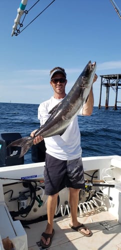 Bay & Jetty Trip In Galveston, TX | $50 Deposit In Galveston