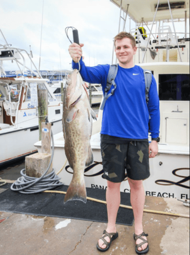 Panama City Trolling Thrills In Panama City Beach