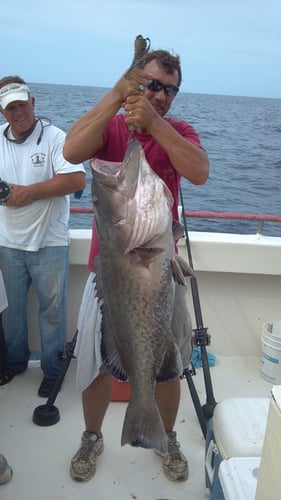 Panama City Trolling Thrills In Panama City Beach