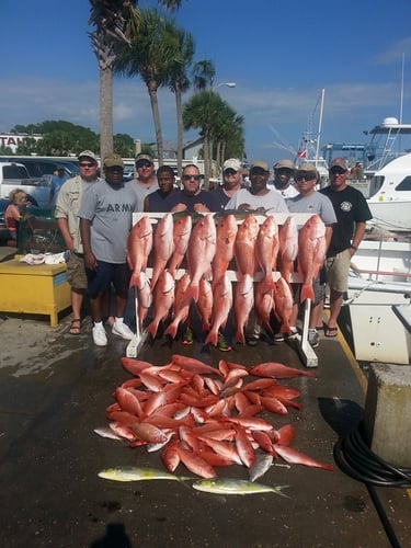 Panama City Trolling Excitment In Panama City Beach