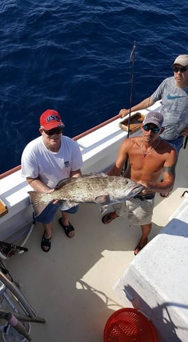 Panama City Trolling Thrills In Panama City Beach