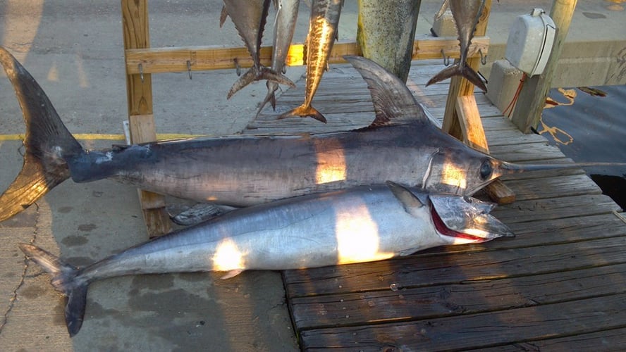 Panama City Trolling Thrills In Panama City Beach