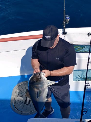 Panama City Trolling Thrills In Panama City Beach