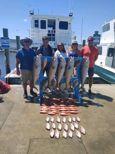 Panama City Trolling Thrills In Panama City Beach