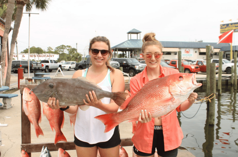 Panama City Trolling Thrills In Panama City Beach