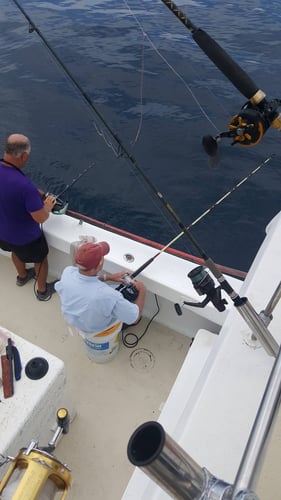 Panama City Trolling Thrills In Panama City Beach