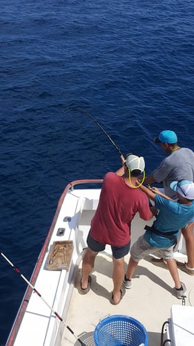 Panama City Trolling Thrills In Panama City Beach