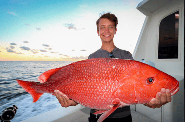 Panama City Trolling Thrills In Panama City Beach