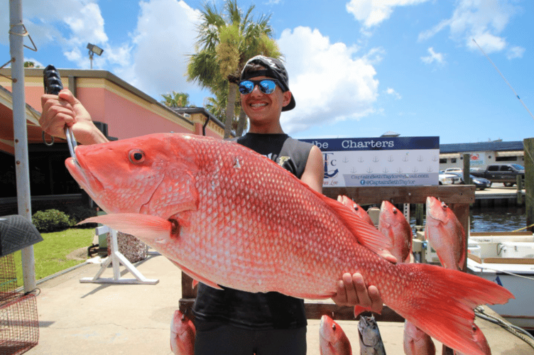 Panama City Trolling Thrills In Panama City Beach