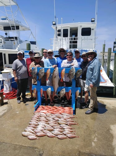 Panama City Trolling Thrills In Panama City Beach