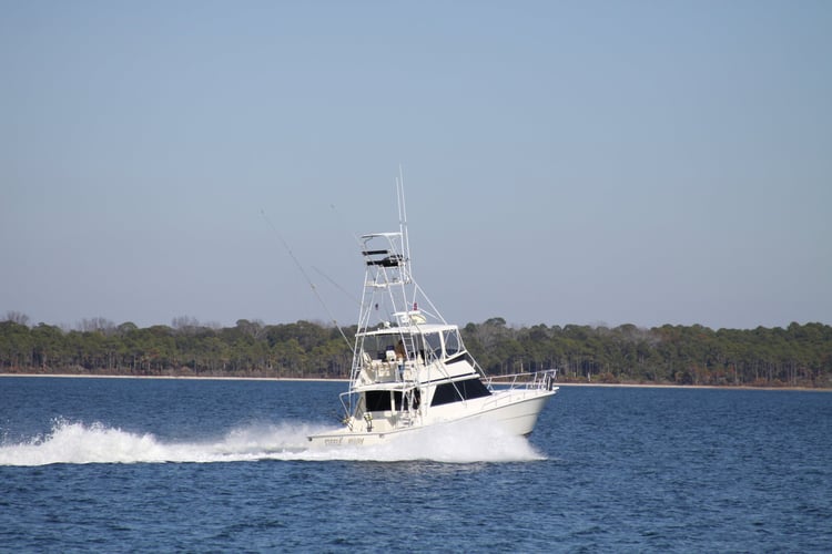 Live Action Offshore - 48’ Viking