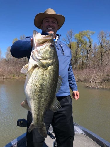 Lake Fork Bass Fishing Guide Marc Full Day Trip in Lake Fork
