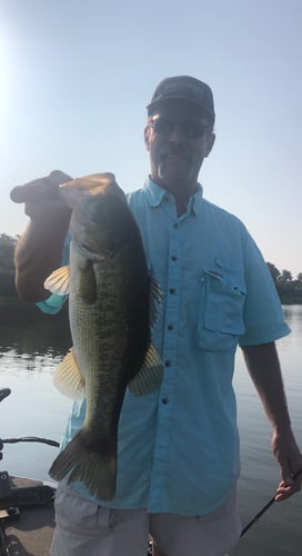 Lake Fork Bass Fishing Guide Marc Full Day Trip in Lake Fork