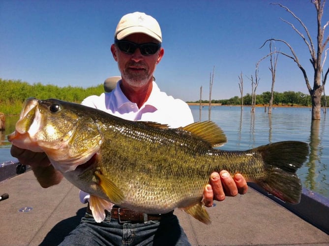 Lake Fork Bass Fishing Guide Marc Full Day Trip in Lake Fork