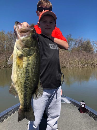 Lake Fork Bass Fishing Guide Marc Full Day Trip In Lake Fork