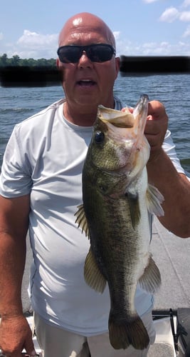 Lake Fork Bass Fishing Guide Marc Full Day Trip In Lake Fork