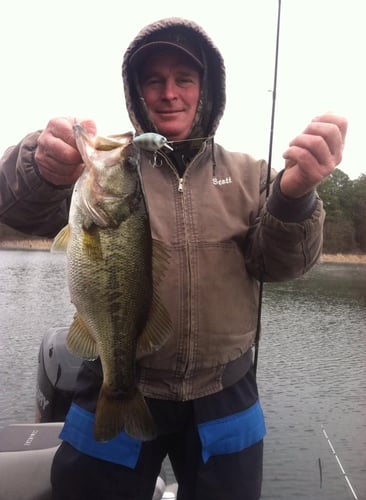 Lake Fork Bass Fishing Guide Marc Full Day Trip in Lake Fork