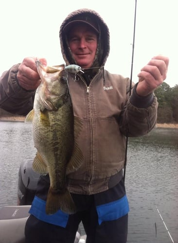 Lake Fork Bass Fishing Guide Marc Full Day Trip In Lake Fork