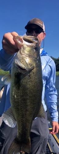 Lake Fork Bass Fishing Guide Marc Full Day Trip In Lake Fork