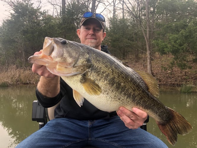 Lake Fork Bass Fishing Guide Marc Full Day Trip In Lake Fork