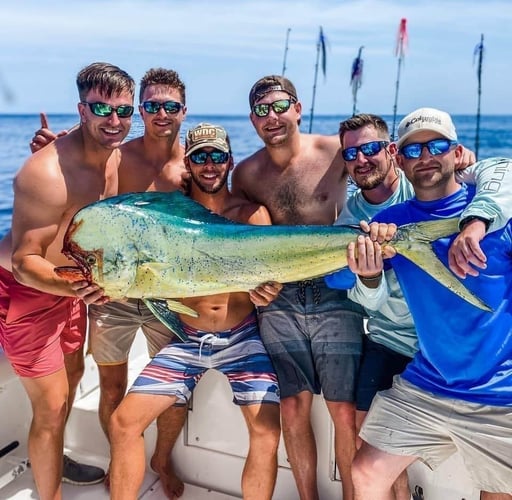 Mahi Mahi Special - 35’ Everglades In Charleston