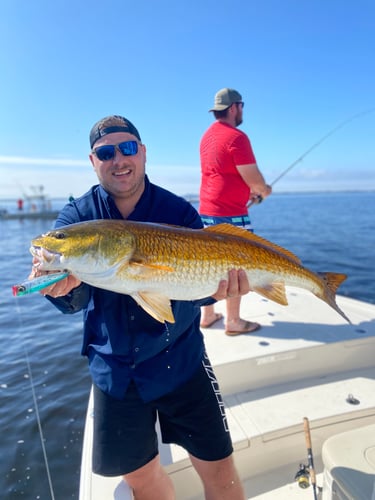 Santa Rosa Beach Inshore Special In Santa Rosa Beach