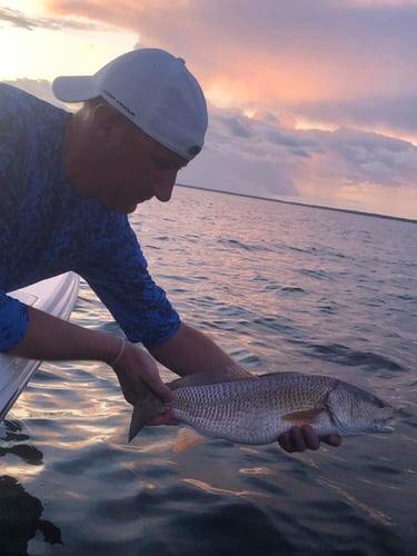 Santa Rosa Beach Inshore Special In Santa Rosa Beach