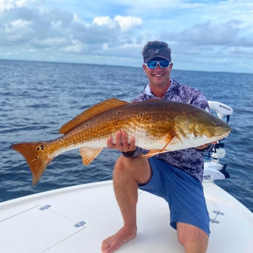 Santa Rosa Beach Inshore Special In Santa Rosa Beach