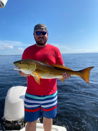 Santa Rosa Beach Inshore Special in Santa Rosa Beach