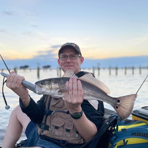 Kayak Fishing With Dave And Crew In Destin