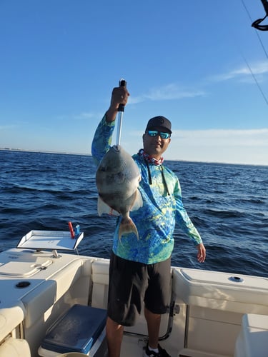 Emerald Coast Adventure in Fort Walton Beach