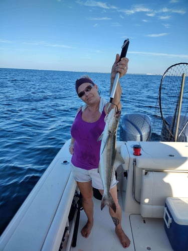 Grocery Run - 3/4 Day Trip in Fort Walton Beach