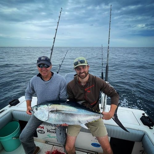 Tuna Trip - 26'  Regulator in Chatham