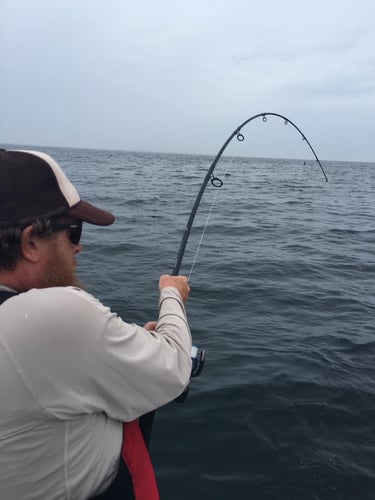 Tuna Trip - 26'  Regulator in Chatham