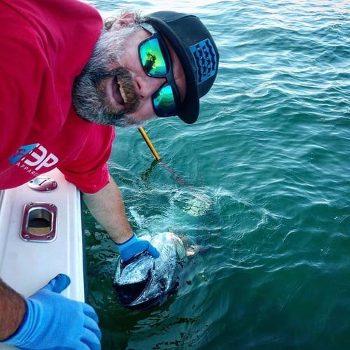 Tuna Trip - 26'  Regulator in Chatham
