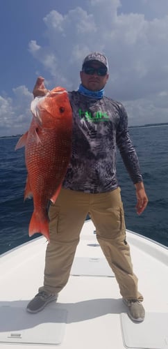 Gulf Fishing Fun - 22’ Cape Horn CC In Fort Walton Beach