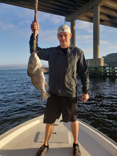 Gulf Fishing Fun - 22’ Cape Horn CC In Fort Walton Beach