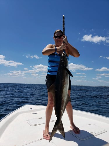 Gulf Fishing Fun - 22’ Cape Horn CC In Fort Walton Beach