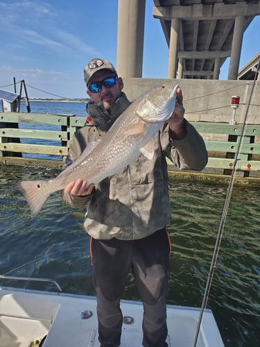 Gulf Fishing Fun - 22’ Cape Horn CC In Fort Walton Beach