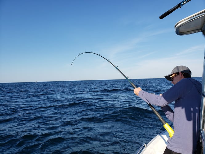 Gulf Fishing Fun - 22’ Cape Horn CC In Fort Walton Beach