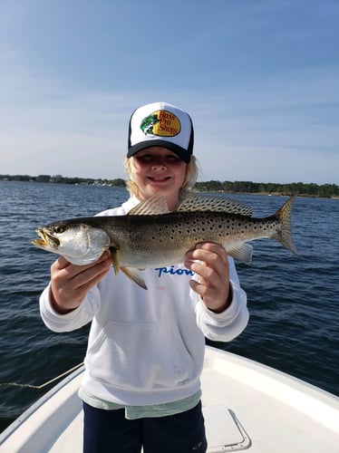 Gulf Fishing Fun - 22’ Cape Horn CC In Fort Walton Beach