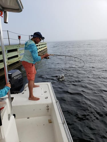 Gulf Fishing Fun - 22’ Cape Horn CC In Fort Walton Beach