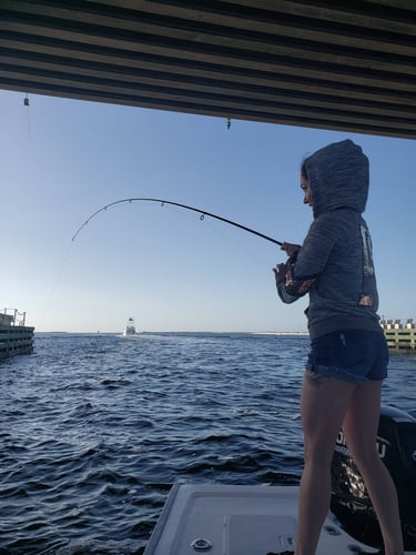 Gulf Fishing Fun - 22’ Cape Horn CC