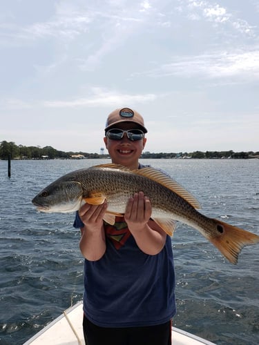 Gulf Fishing Fun - 22’ Cape Horn CC In Fort Walton Beach