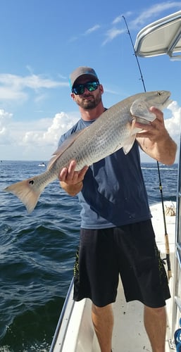 Gulf Fishing Fun - 22’ Cape Horn CC In Fort Walton Beach