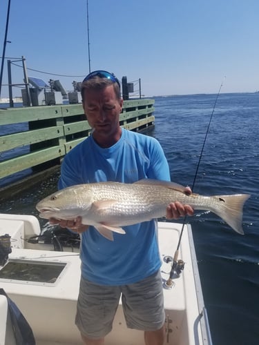 Gulf Fishing Fun - 22’ Cape Horn CC In Fort Walton Beach