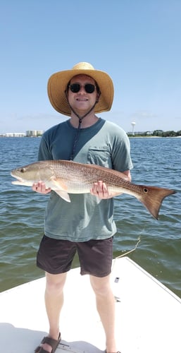 Gulf Fishing Fun - 22’ Cape Horn CC In Fort Walton Beach