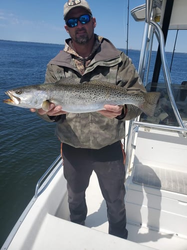 Gulf Fishing Fun - 22’ Cape Horn CC In Fort Walton Beach