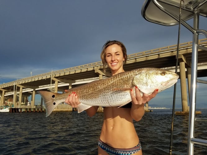 Gulf Fishing Fun - 22’ Cape Horn CC In Fort Walton Beach