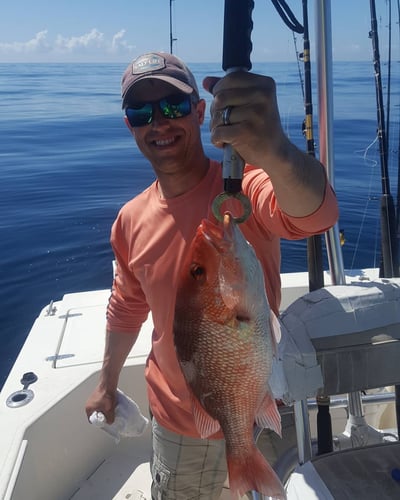 Destin Nearshore Fishing In Destin